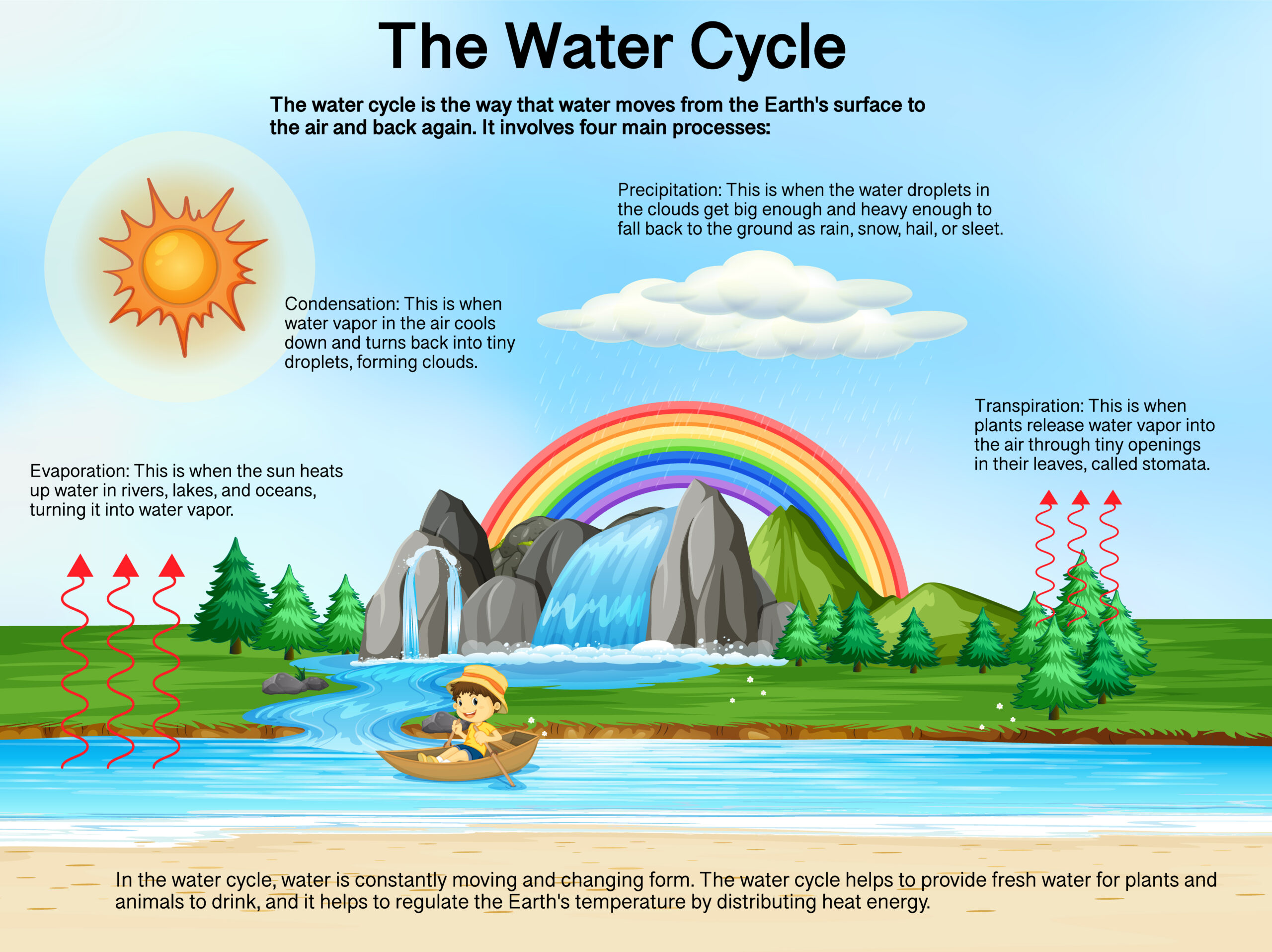 Water Cycle